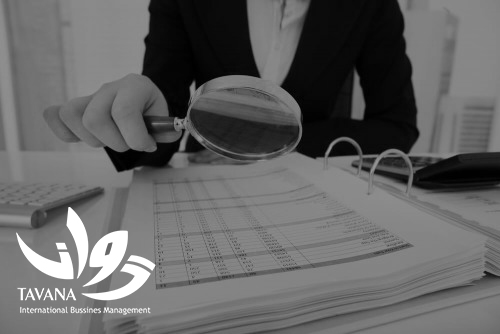 ممیز مالیاتی کیست؟