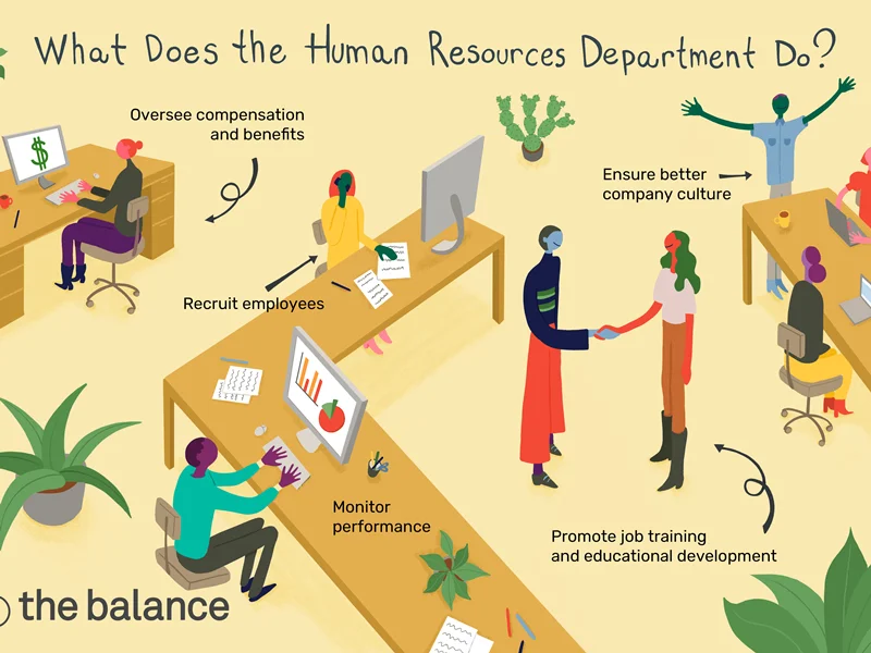 چرا منابع انسانی مهم است؟